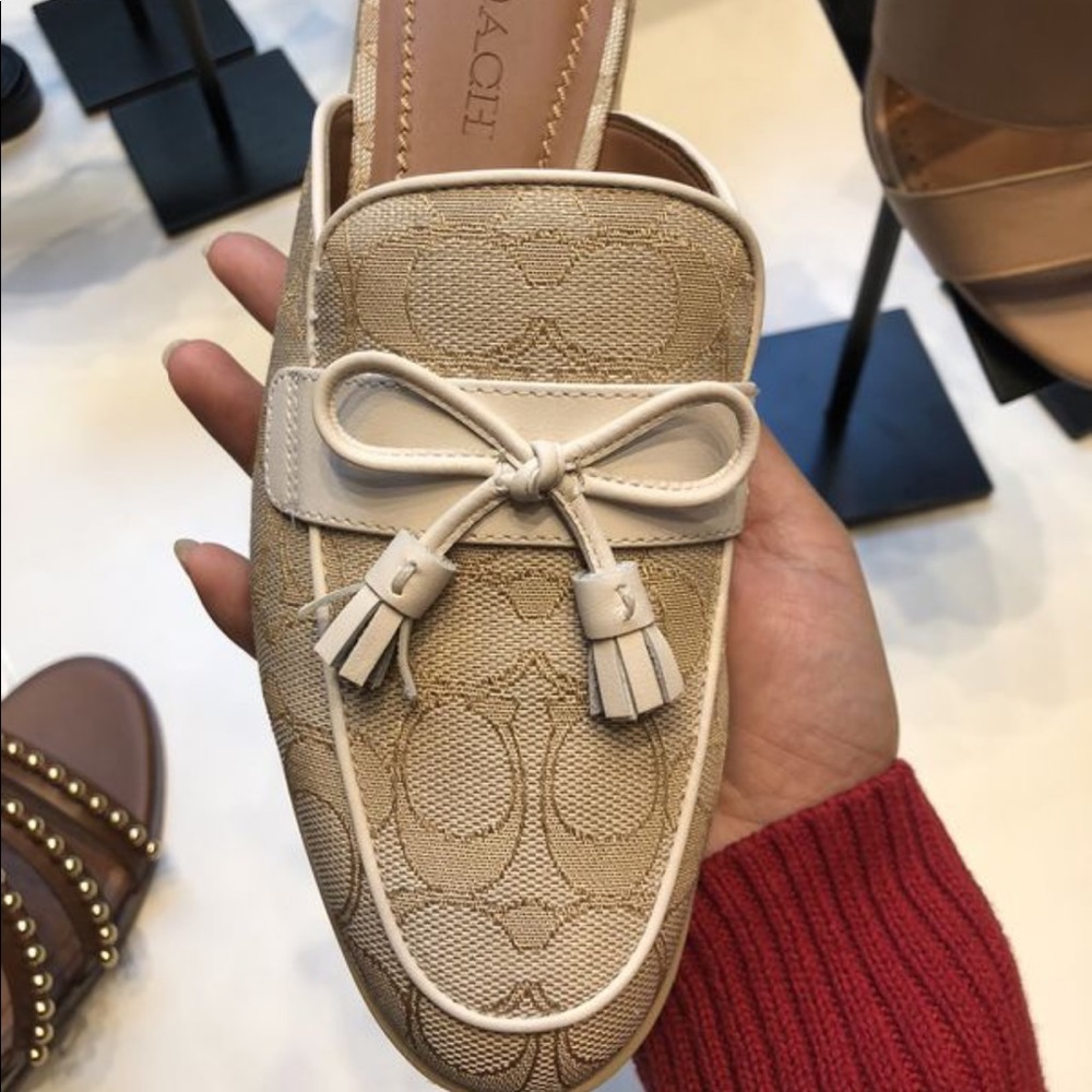 Coach slippers brandnew never use with box